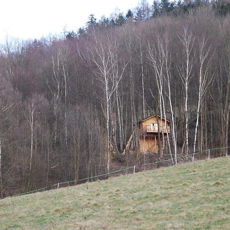 Treehouse Velké Losiny Exteriér fotografie