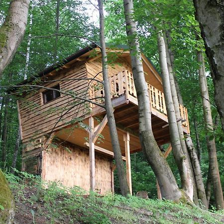 Treehouse Velké Losiny Exteriér fotografie