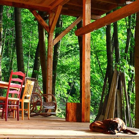 Treehouse Velké Losiny Exteriér fotografie