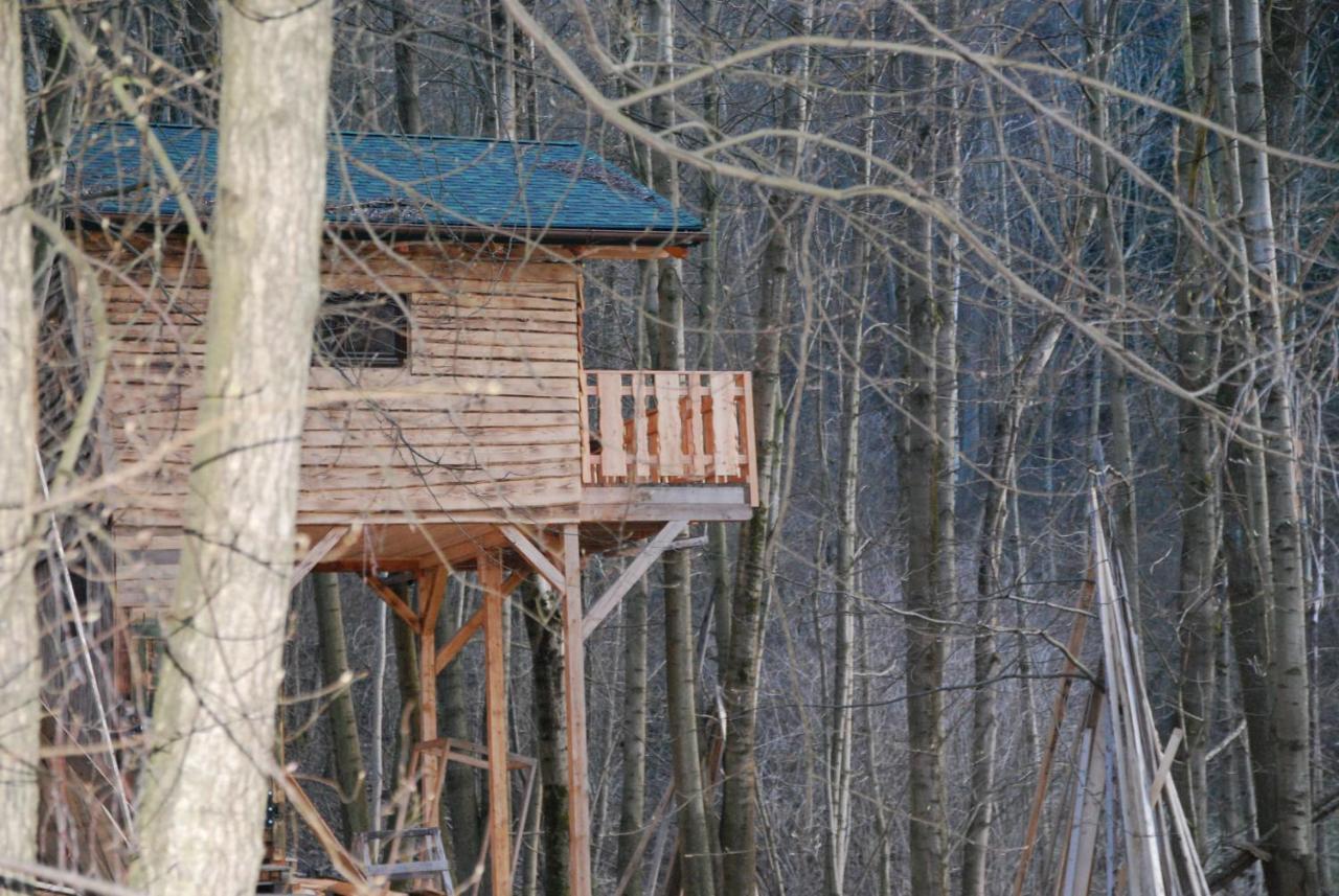 Treehouse Velké Losiny Exteriér fotografie