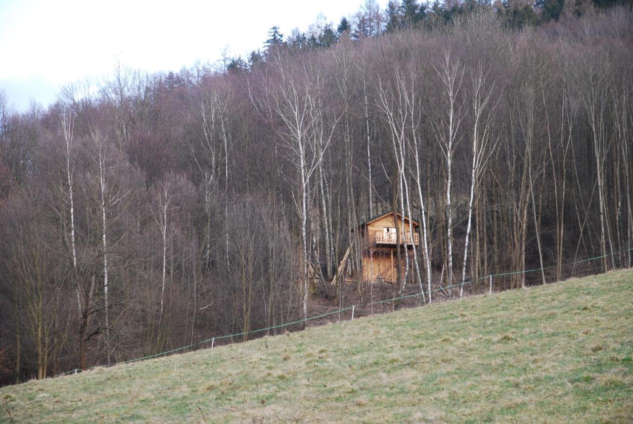 Treehouse Velké Losiny Exteriér fotografie