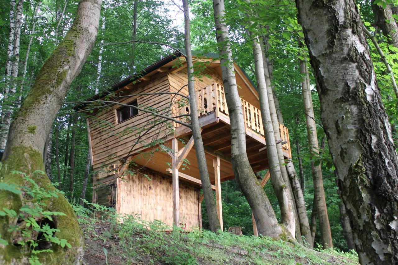 Treehouse Velké Losiny Exteriér fotografie