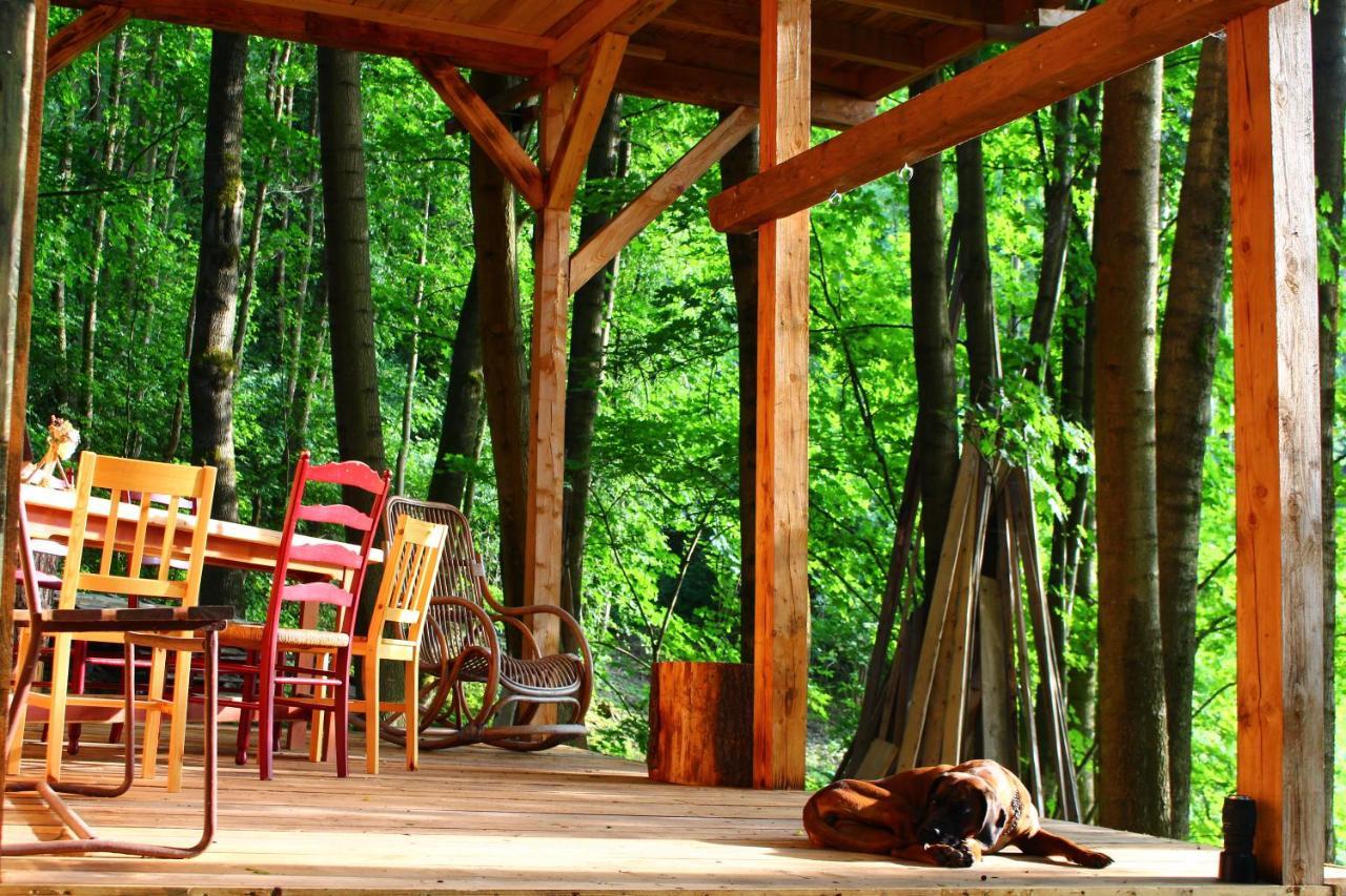 Treehouse Velké Losiny Exteriér fotografie