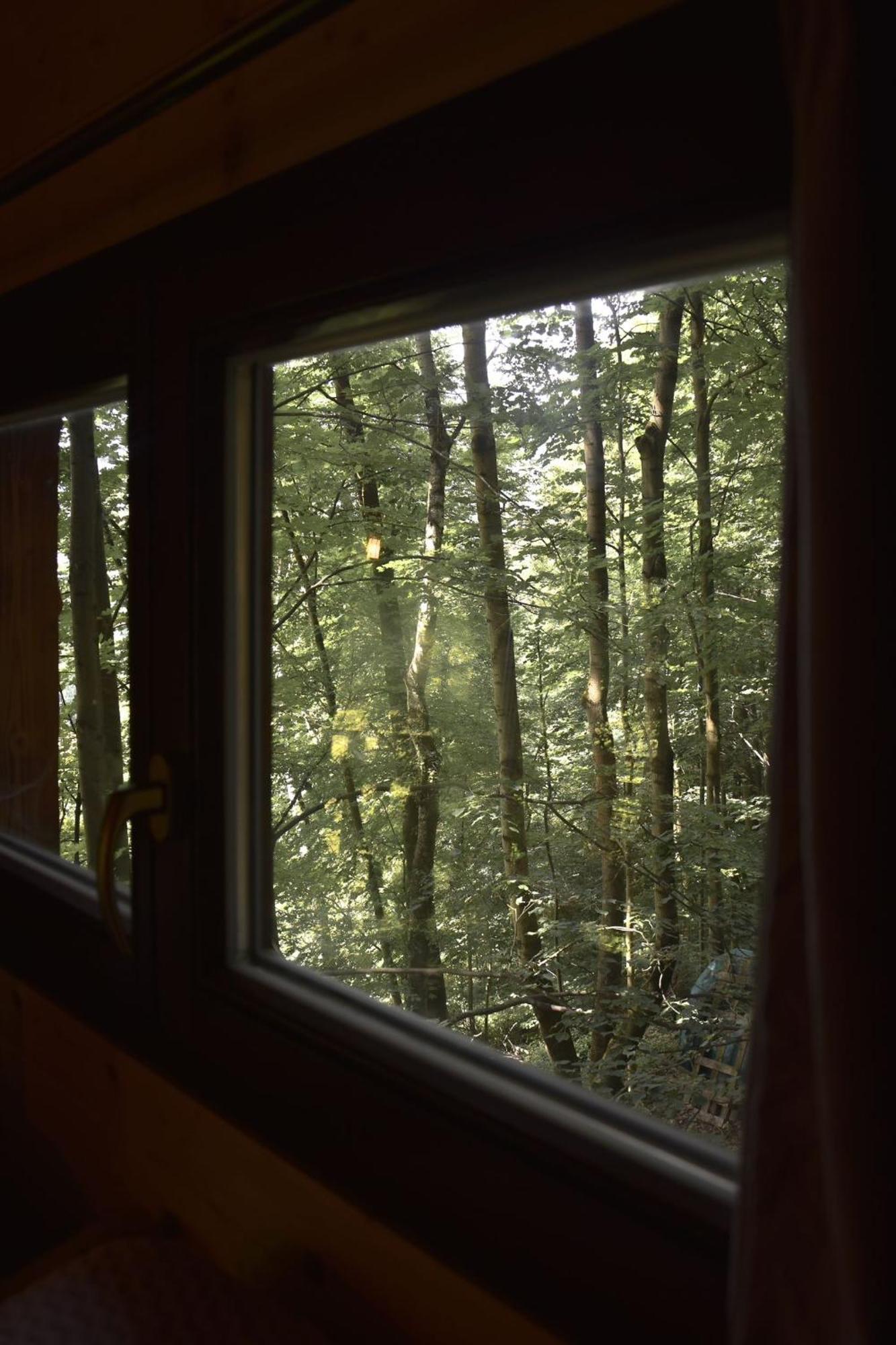 Treehouse Velké Losiny Exteriér fotografie
